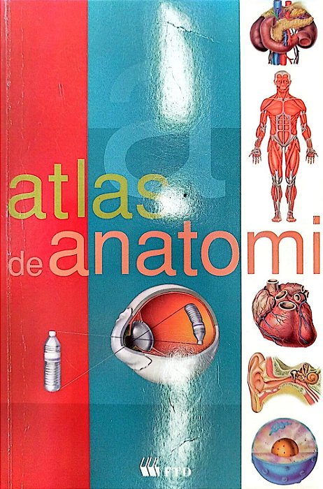 Livro Atlas de Anatomia Humana Autor Vários (2006) [usado]