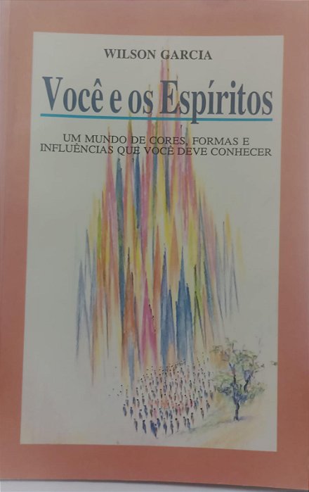 Livro Você e os Espíritos Autor Garcia, Wilson (1993) [usado]
