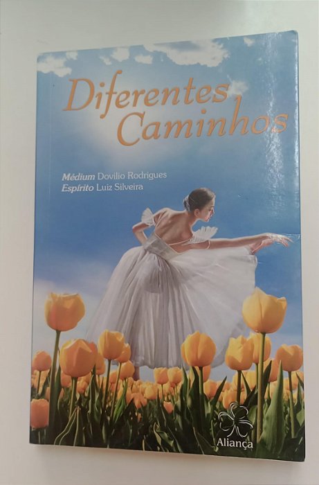 Livro Diferentes Caminhos Autor Silveira, Luiz (2011) [seminovo]