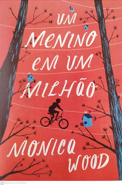Livro um Menino em um Milhão Autor Wood, Monica (2017) [seminovo]
