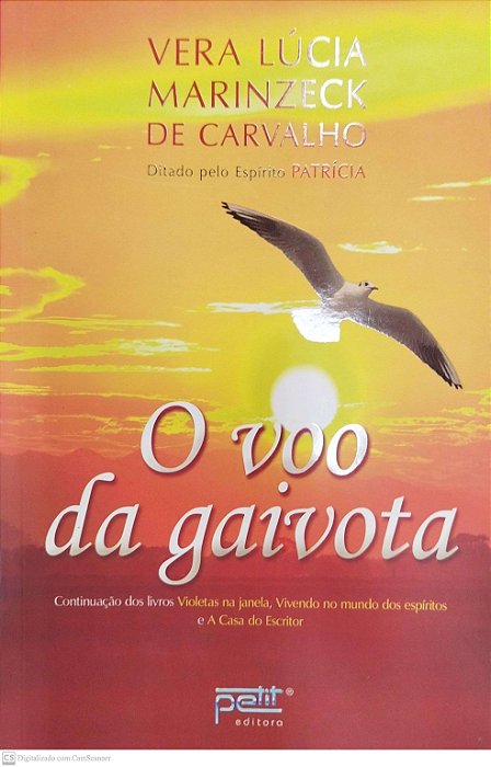 Livro o Voo da Gaivota Autor Carvalho, Vera Lúcia Marinzeck (2014) [seminovo]