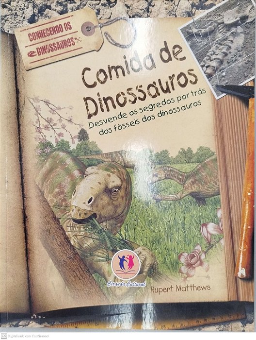 Livro Comida de Dinossauros Autor Matthewa, Rupert [seminovo]