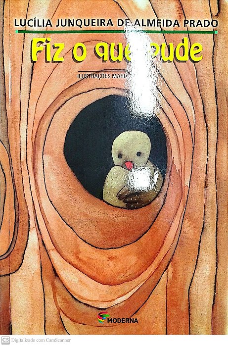 Livro Fiz o que Pude Autor Prado, Lucília Junqueira de Almeida (2002) [seminovo]