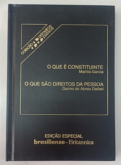 Livro o que é Constituinte / o que São Direitos da Pessoa Coleção Primeiros Passos / Brasiliense Autor Garcia, Marília (1985) [usado]