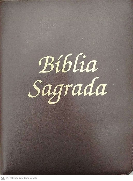 Livro Biblia Sagrada Autor Vários (2012) [seminovo]