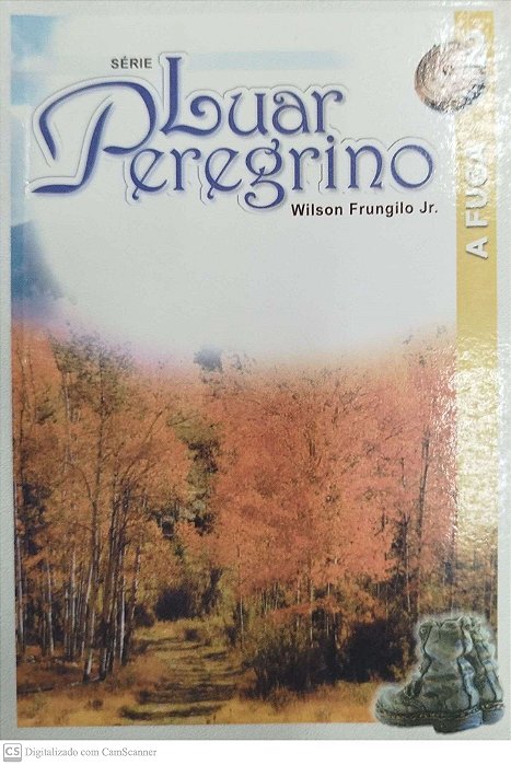 Livro a Fuga Autor Jr., Wilson Frungilo (2000) [usado]