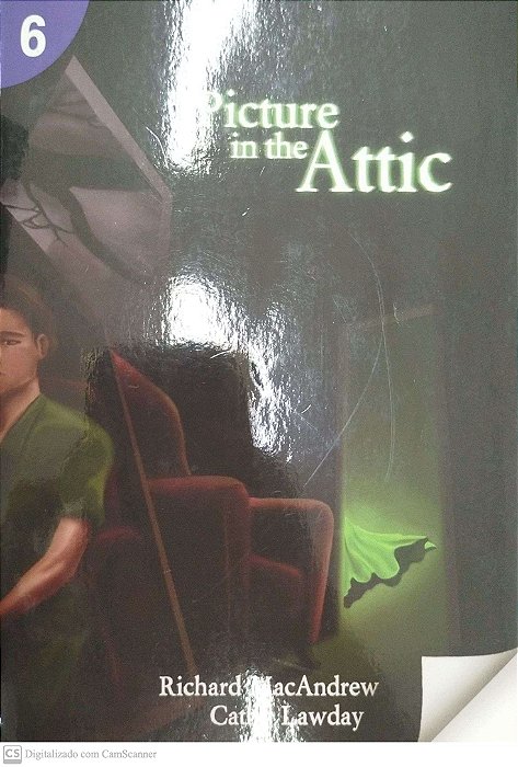 Livro The Picture In The Attic Autor Macandrew, Richard [seminovo]