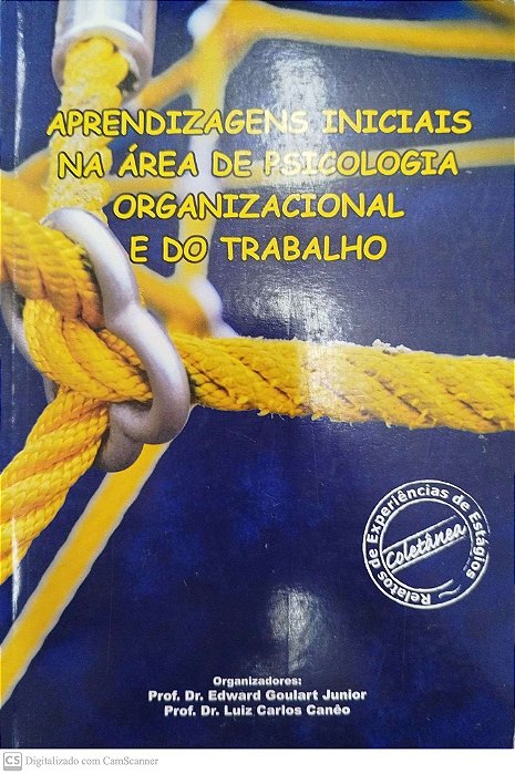 Livro Aprendizagens Iniciais na Área de Psicologia Organizacional e do Trabalho Autor Júnior (org.), Prof. Dr. Edward Goulart (2011) [usado]
