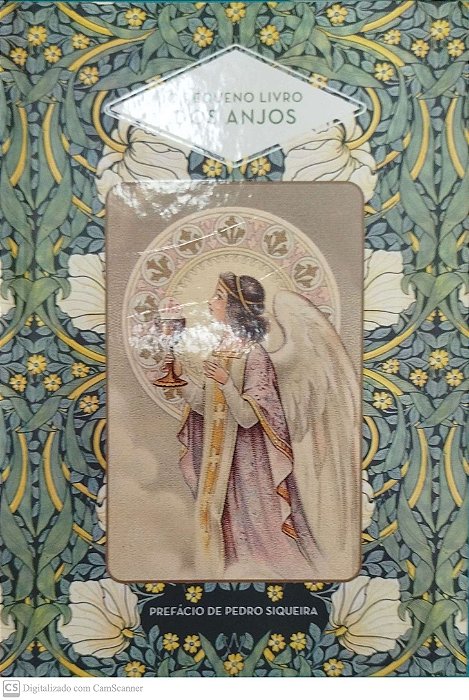 Livro o Pequeno Livro dos Anjos Autor Massib, Nicole (2021) [seminovo]