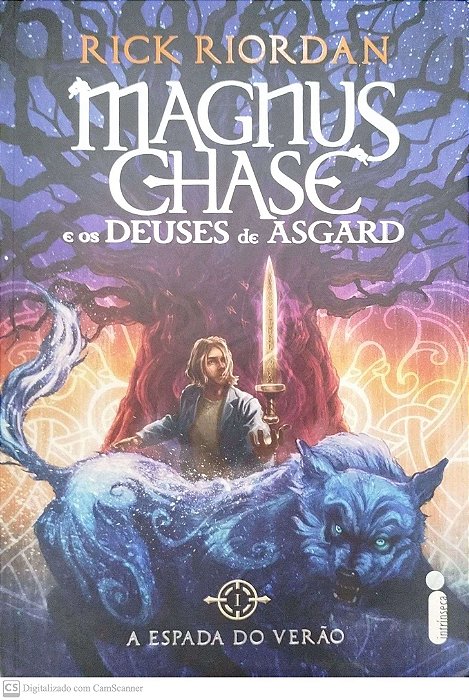 Livro a Espada do Verão - Magnus Chase e os Deuses de Asgard 1 Autor Riordan, Rick (2015) [seminovo]