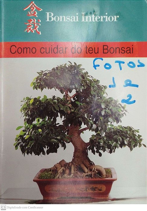 Livro Como Cuidar do Teu Bonsai Autor Desconhecido [usado]