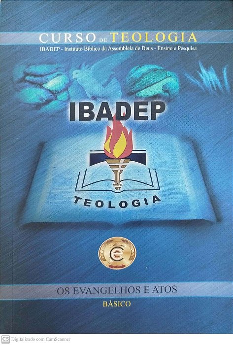 Livro os Evangelhos e Atos - Básico Autor Vários (2012) [usado]