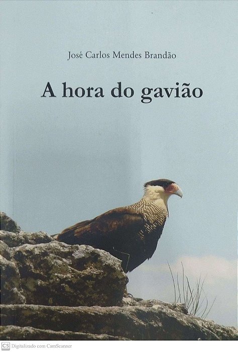 Livro a Hora do Gavião Autor Brandão, José Carlos Mendes (2014) [seminovo]