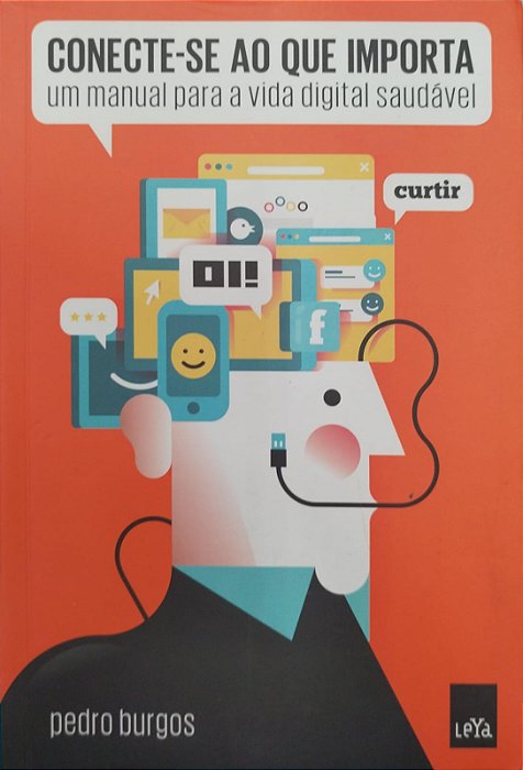 Livro Conecte-se ao que Importa Autor Burgos, Pedro (2014) [seminovo]
