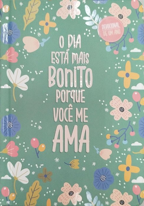 Livro o Dia Está Mais Bonito Porque Você Me Ama Autor Lindsay, Shannon (2021) [seminovo]