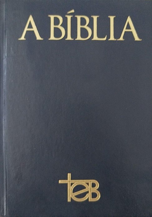 Livro a Bíblia Autor Vários (1995) [usado]