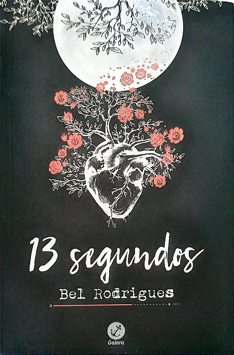 Livro 13 Segundos Autor Rodrigues, Bel (2018) [usado]