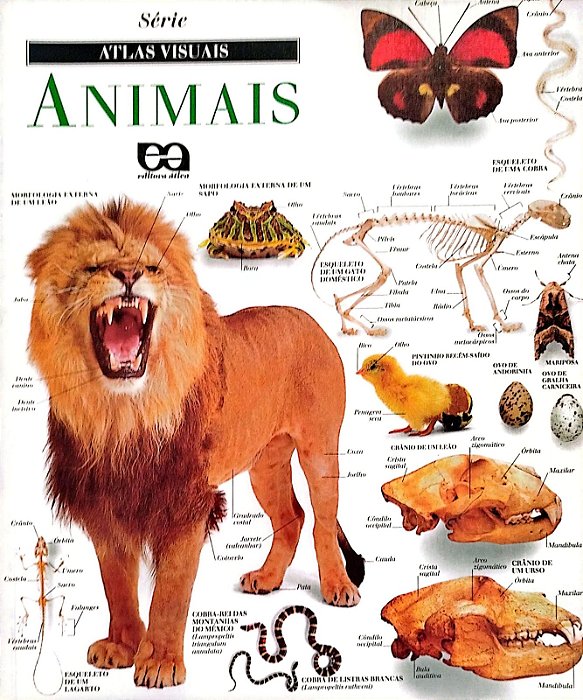 Livro Animais - Série Atlas Visuais Autor Vários (1996) [usado]