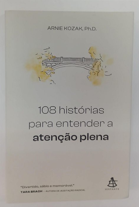 Livro 108 Histórias para Entender a Atenção Plena Autor Kozak, Arnie (2022) [seminovo]