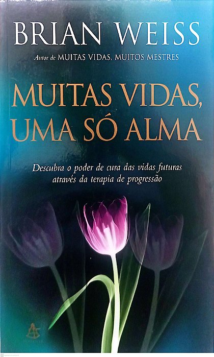 Livro Muitas Vidas, Uma Só Alma Autor Weiss, Brian (2005) [seminovo]