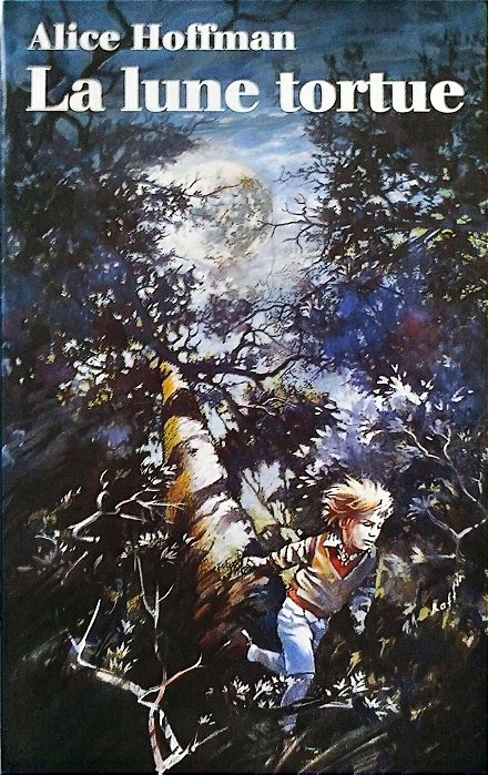 Livro La Lune Tortue Autor Hoffman, Alice (1994) [seminovo]