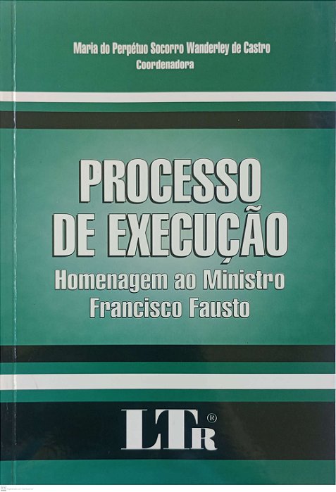 Livro o Processo de Execução - Homenagem ao Ministro Francisco Fausto Autor Castro (org), Maria do Perpétuo Socorro Wanderley de (2002) [usado]