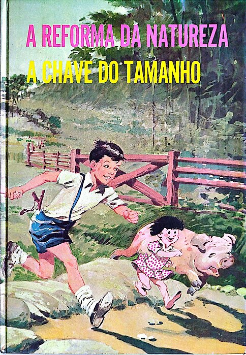 Livro a Reforma da Natureza - a Chave do Tamanho Autor Lobato, Monteiro (1973) [usado]
