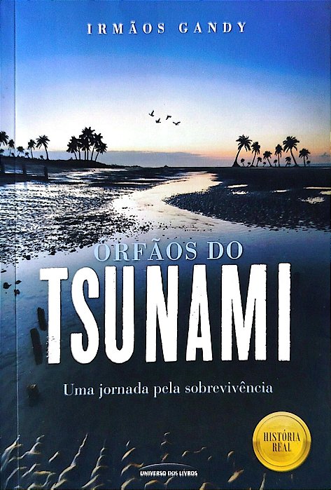 Livro Órfãos do Tsunami Autor Gandy, Irmãos (2016) [seminovo]