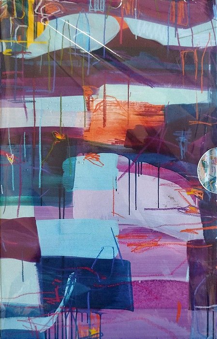 Livro Box o Sonho dos Heróis Autor Casares, Adolfo Bioy [seminovo]