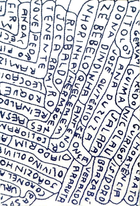 Livro Grande Sertão: Veredas Autor Rosa, João Guimarães (2020) [seminovo]