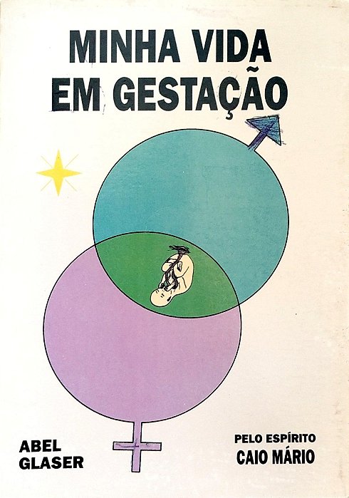 Livro Minha Vida em Gestação Autor Glaser, Abel (1995) [seminovo]