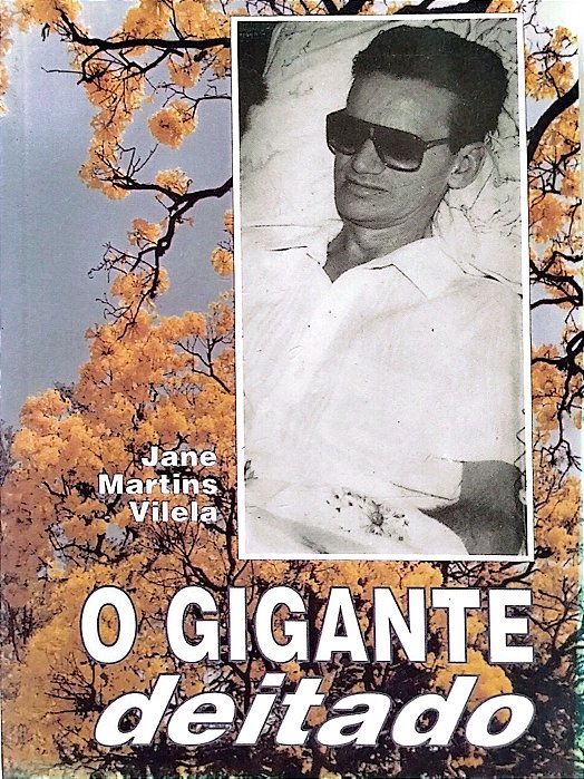Livro o Gigante Deitado Autor Vilela, Jane Martins (1994) [usado]