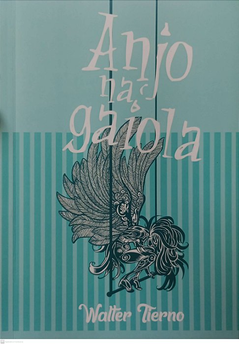 Livro Anjo na Gaiola Autor Tierno, Walter (2024) [seminovo]