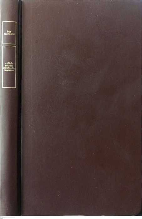 Livro o Diário Secreto de um Adolescente Autor Townsend, Sue (1991) [usado]