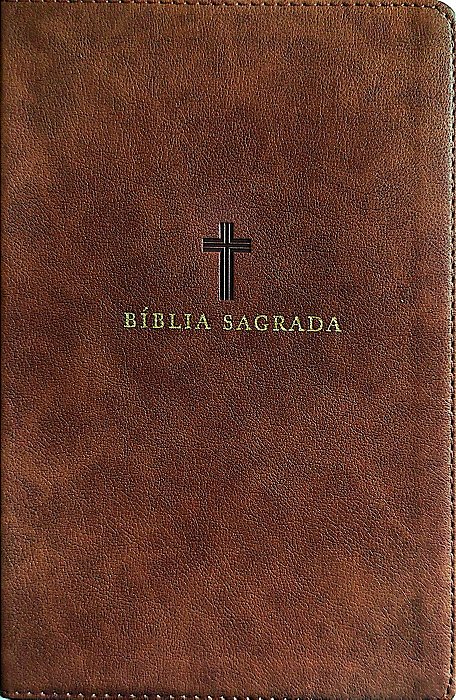 Livro Bíblia Sagrada Autor Vários (2019) [seminovo]
