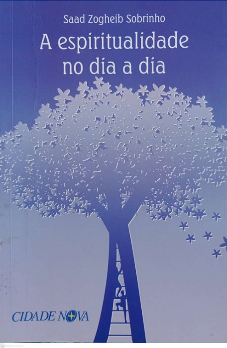 Livro a Espiritualidade no Dia a Dia Autor Sobrinho, Saad Zogheib (2016) [usado]