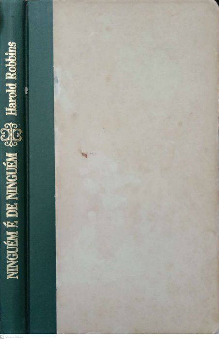 Livro Ninguém é de Ninguém Autor Robbins, Harold (1985) [usado]