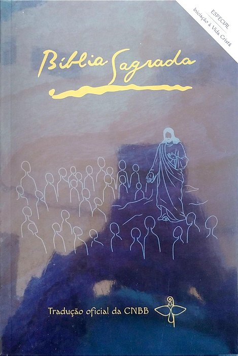 Livro Bíblia Sagrada Autor Vários (2019) [seminovo]