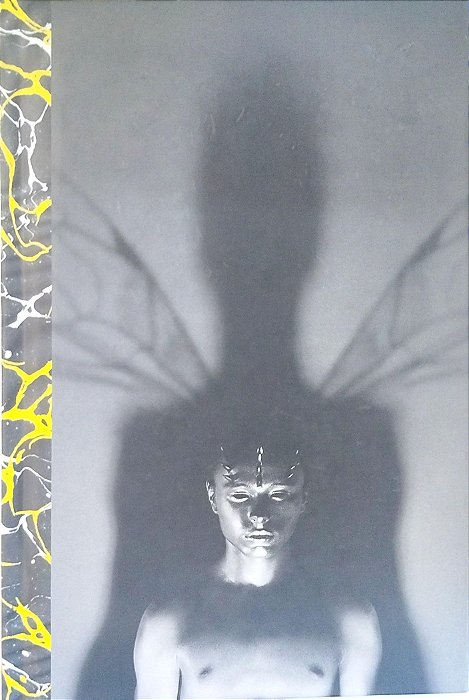 Livro Fábrica de Vespas Autor Banks, Iain (2016) [seminovo]