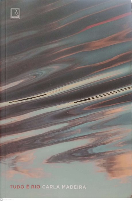 Livro Tudo é Rio Autor Madeira, Carla (2023) [usado]
