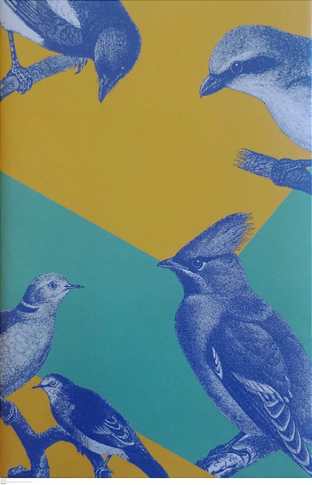 Livro Uma Nova Chance para o Sr. Doubler Autor Glaister, Seni (2019) [seminovo]