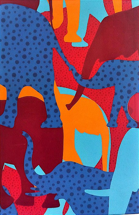 Livro Box o Sol Mais Brilhante Autor Benson, Adrienne (2020) [seminovo]