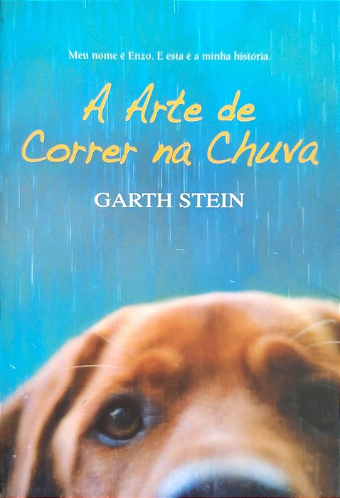 Livro a Arte de Correr na Chuva Autor Stein, Garth (2008) [seminovo]