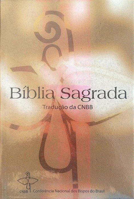 Livro Bíblia Sagrada Autor Vários [seminovo]