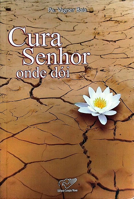 Livro Cura Senhor onde Dói Autor Baia, Pe.vagner (2008) [seminovo]