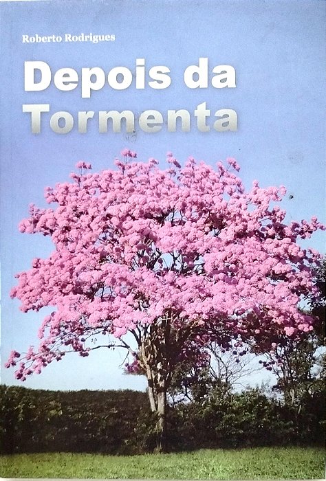 Livro Depois da Tormenta Autor Rodrigues, Roberto (2008) [seminovo]