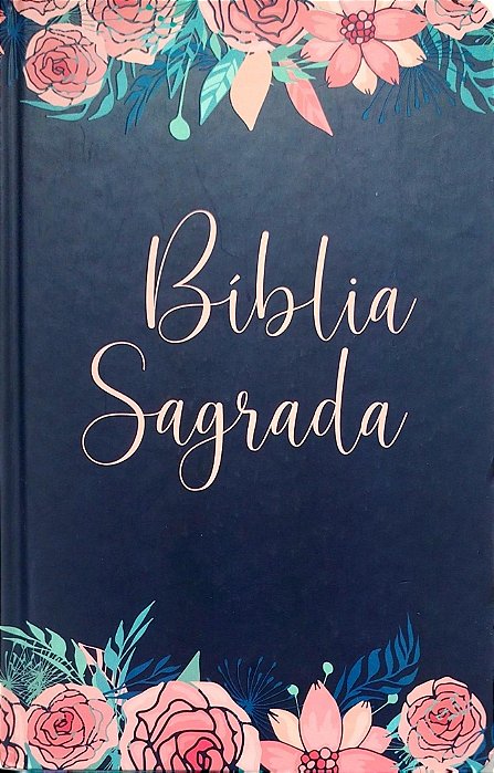 Livro Bíblia Sagrada Autor Vários (2023) [seminovo]