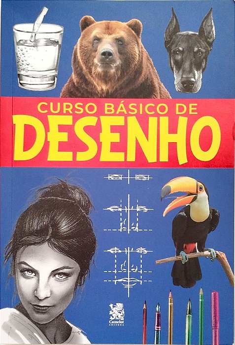 Livro Curso Básico de Desenho Autor Costa, João (2022) [seminovo]
