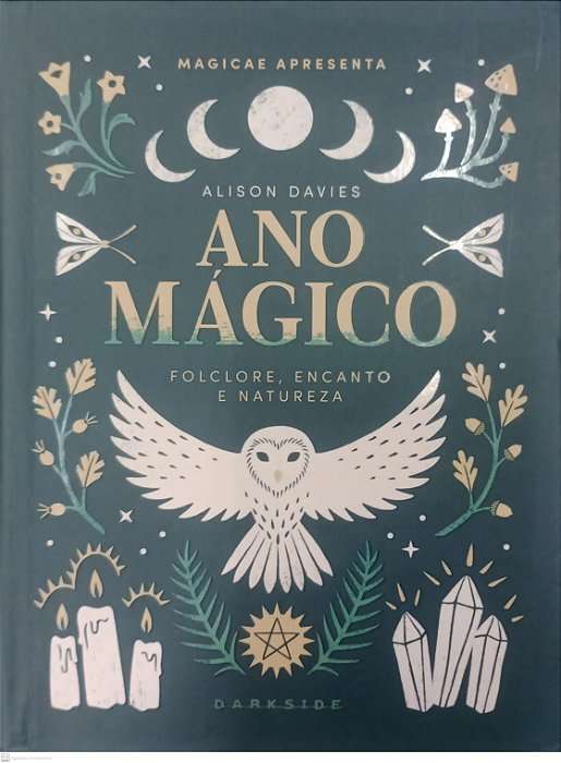 Livro Ano Mágico Autor Davies, Alison (2022) [seminovo]