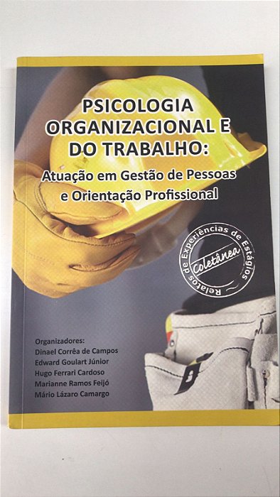 Livro Psicologia Organizacional e do Trabalho : Atuação em Gestão de Pessoas e Orientação Profissional Autor Vários (2015) [usado]